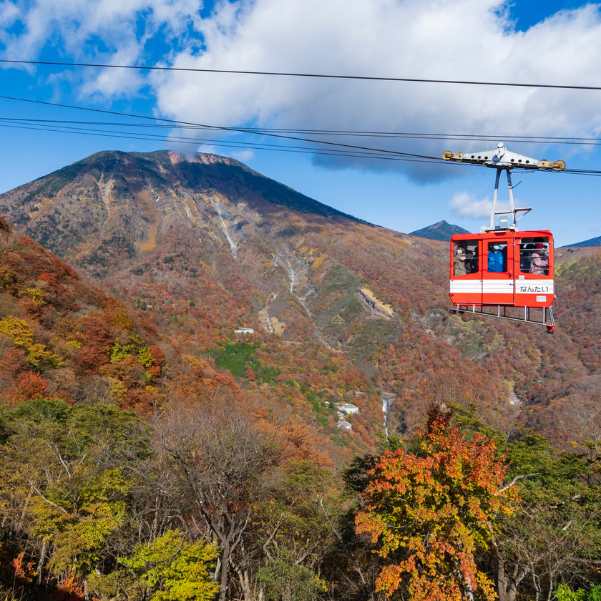 Ropeway (Gondola).jpg
