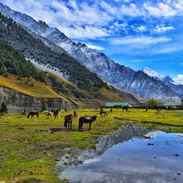 Best Time of Day to Visit Solang in March.jpg