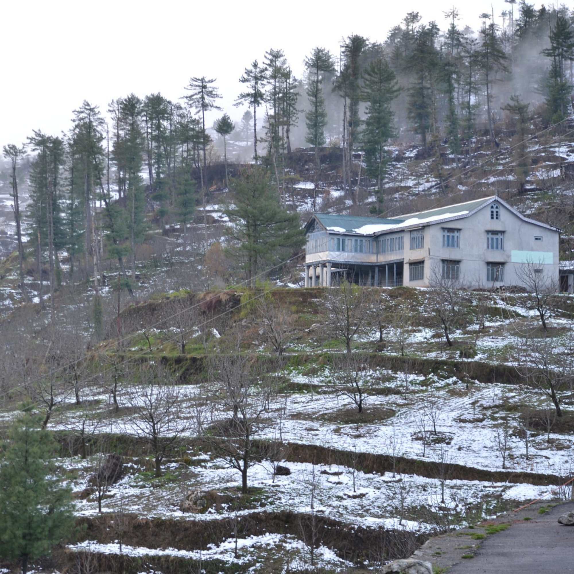 When can you actually see snow near Shimla in 2026?