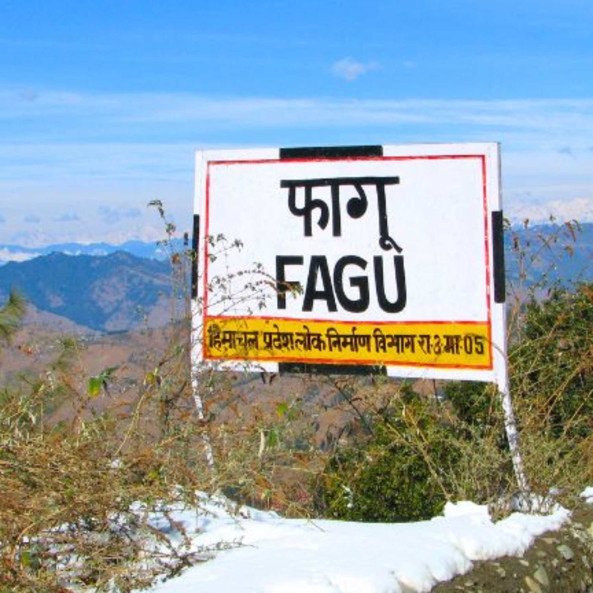How Much Should a Shimla Snow Trip Cost?