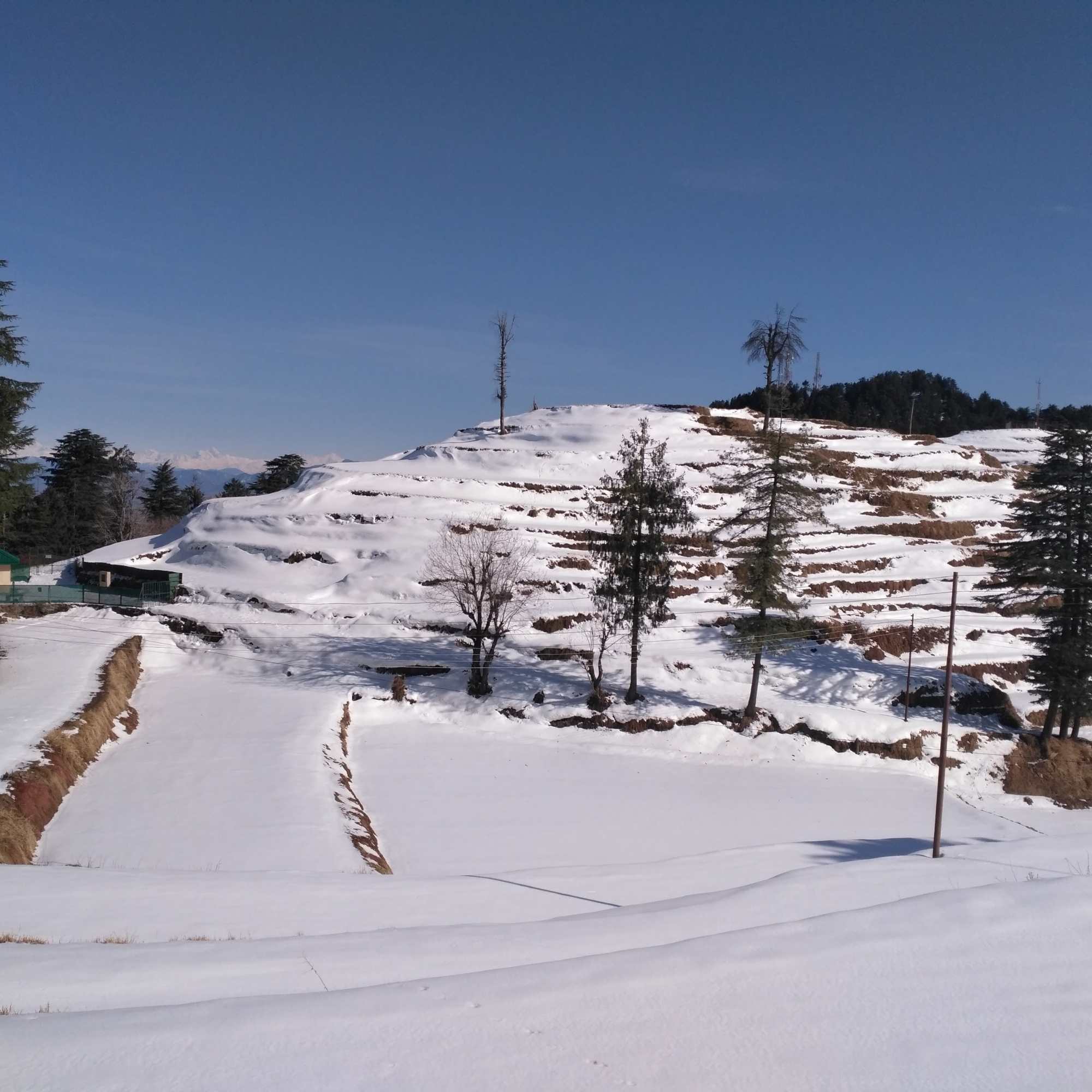Shimla or Kufri: Which Is Better for Snow?