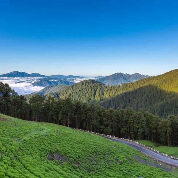 Jibhi for Honeymoon in 2026_ Why Couples Choose It Over Manali.jpg