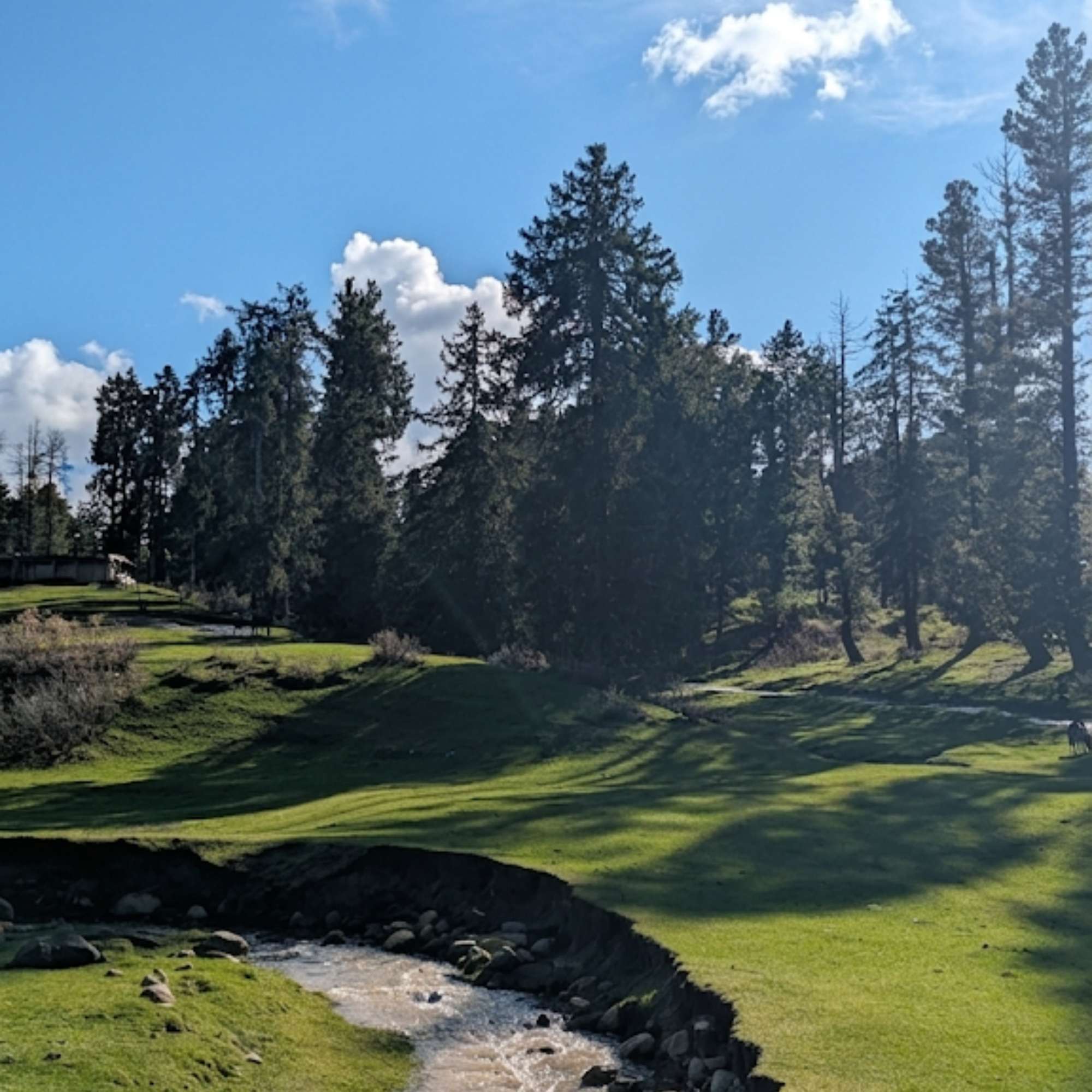 Best Time to Visit Yusmarg Kashmir.jpg