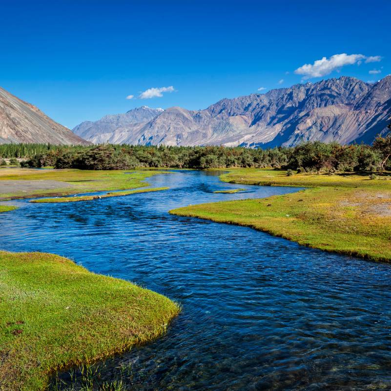 The Shyok river winding through the broad green and brown valley floor of Nubra with Karakoram peaks behind