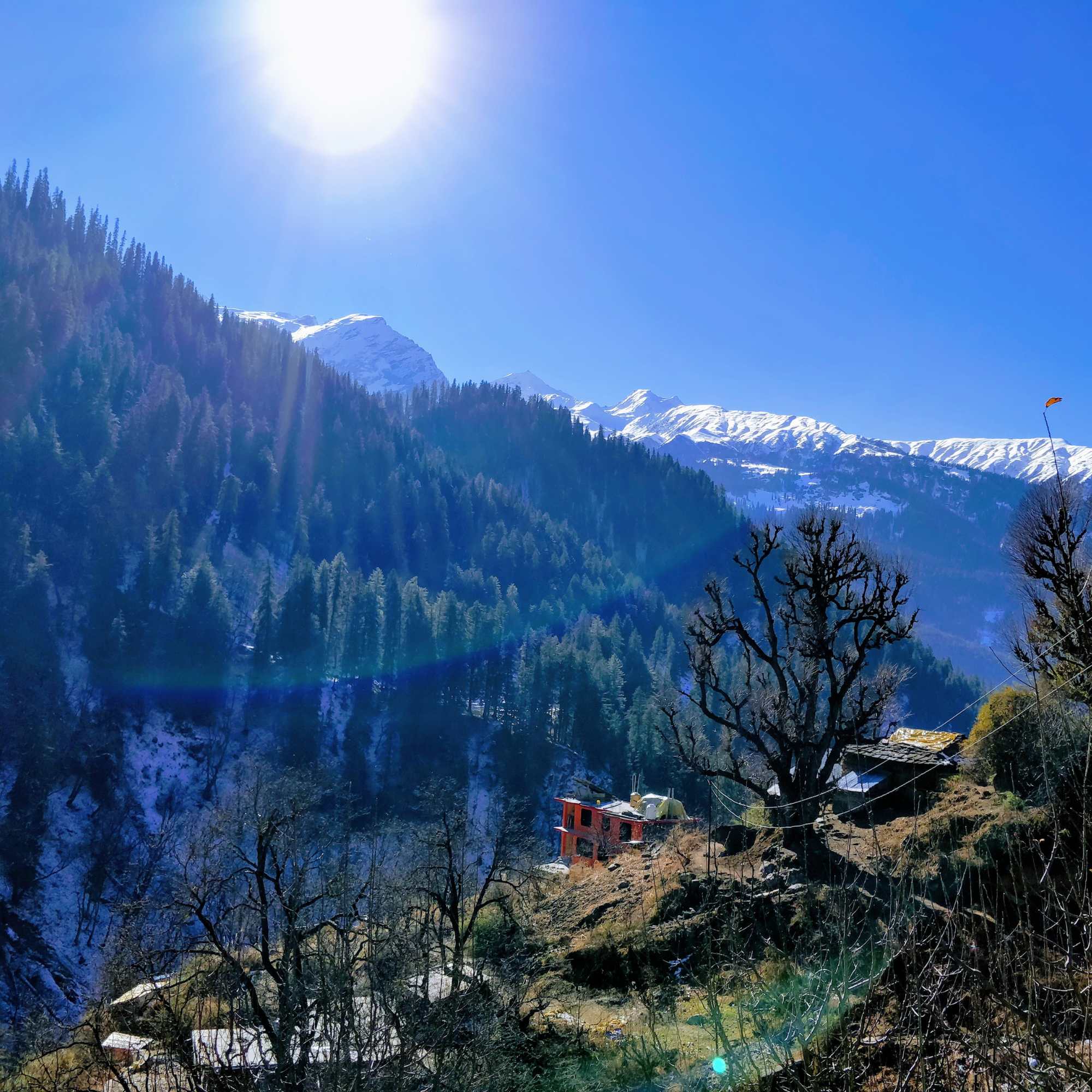 Scenic beauty of Tosh Village surrounded by lush green mountains and alpine landscapes.jpg