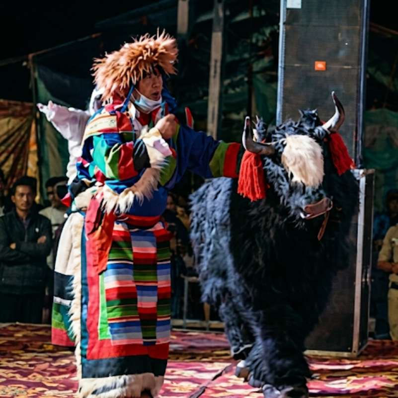 Ladarcha Festival Spiti 