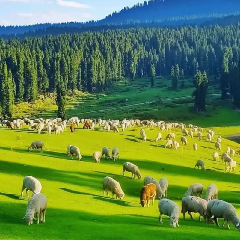 Lolab Valley_ forests and village landscapes.jpg