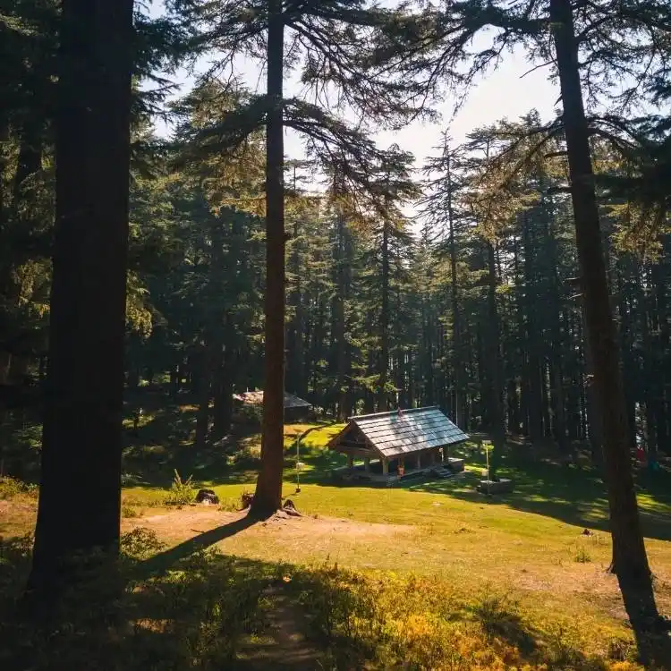 Best Jibhi Tirthan Valley & Jalori Pass Weekend Tour From Delhi.webp