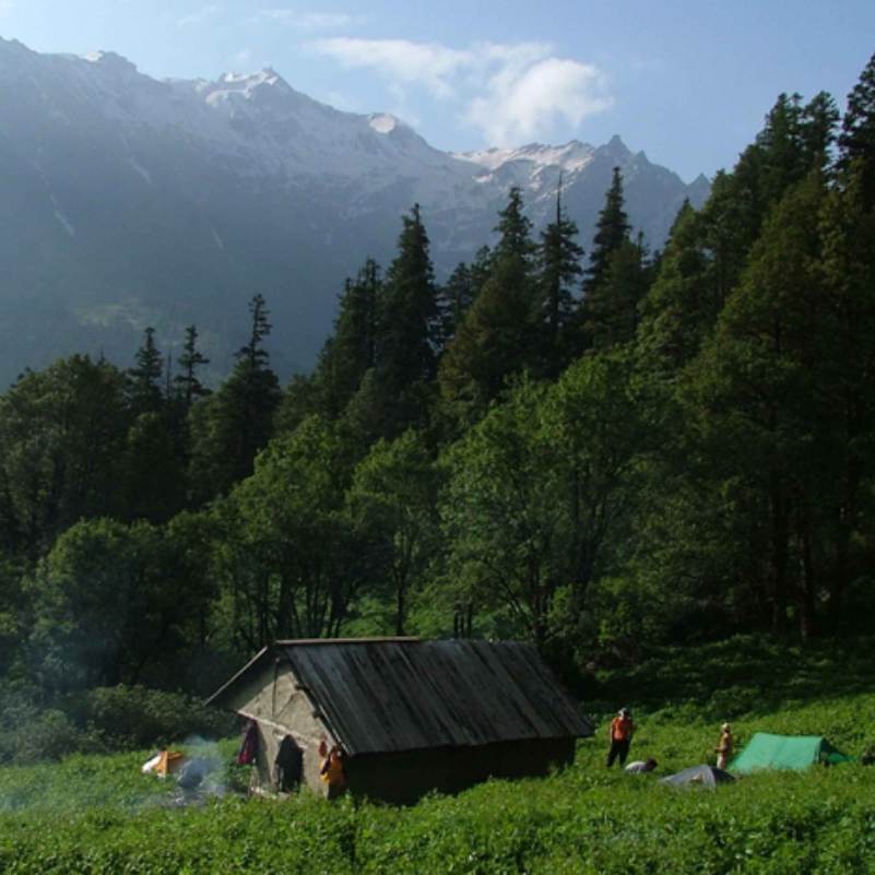 Riverside stretch of Gushaini village along the Tirthan, the most popular homestay belt in Tirthan Valley