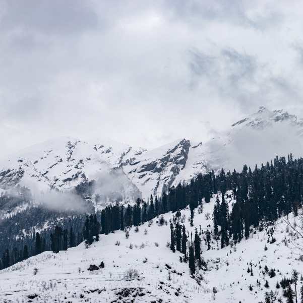 Is There Snow in Solang in March.jpg