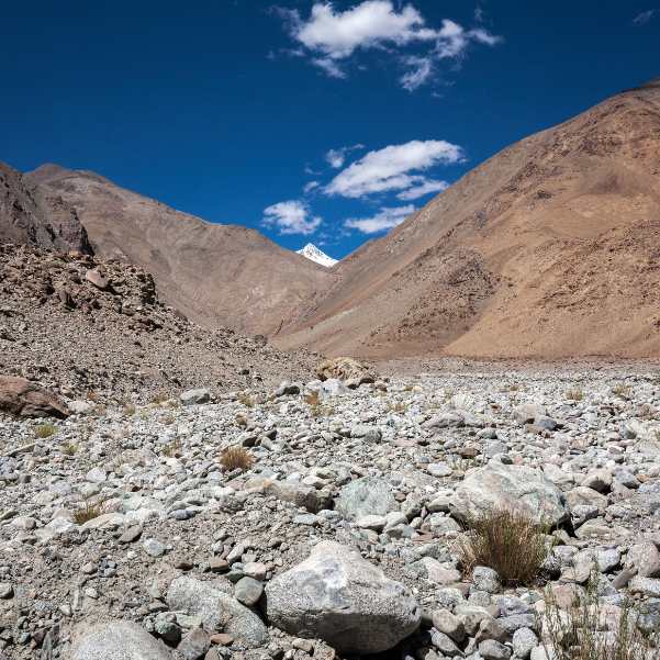 September Events in Ladakh You Should Know Before Booking.jpg