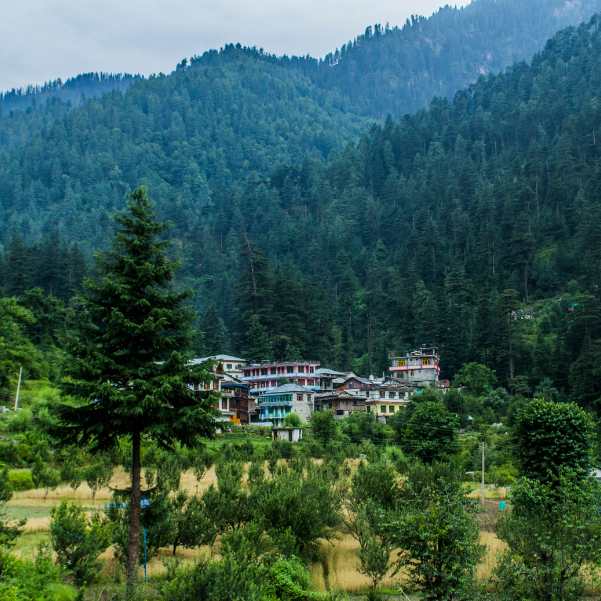 Jibhi Travel Tips for Couples.jpg