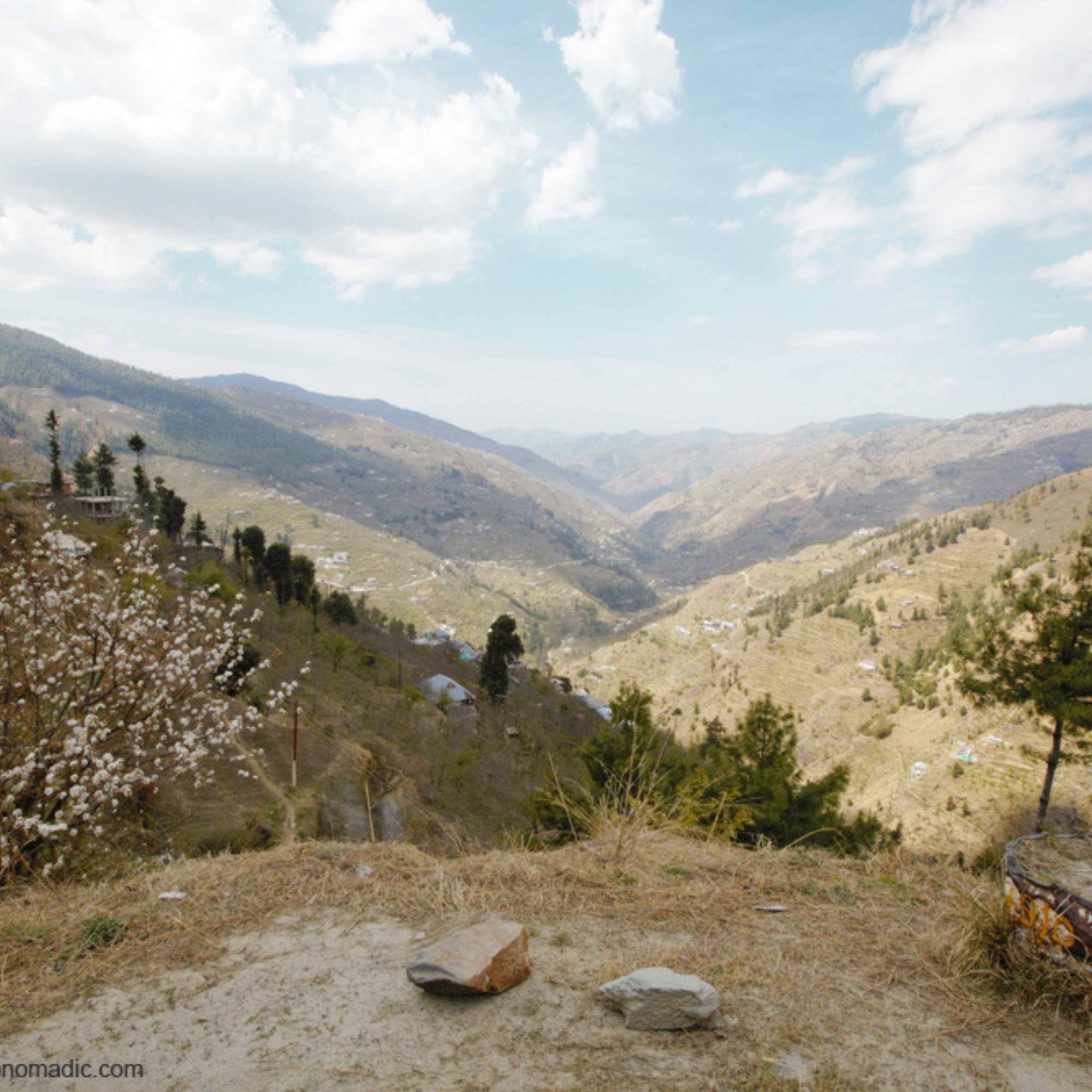 Kharapathar, Shimla surrounded by apple orchards, pine forests and scenic Himalayan mountain views.jpg