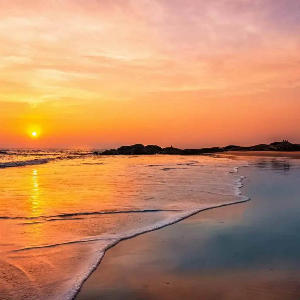 Best Kochi, Munnar, Alleppey & Kerala Beach Tour