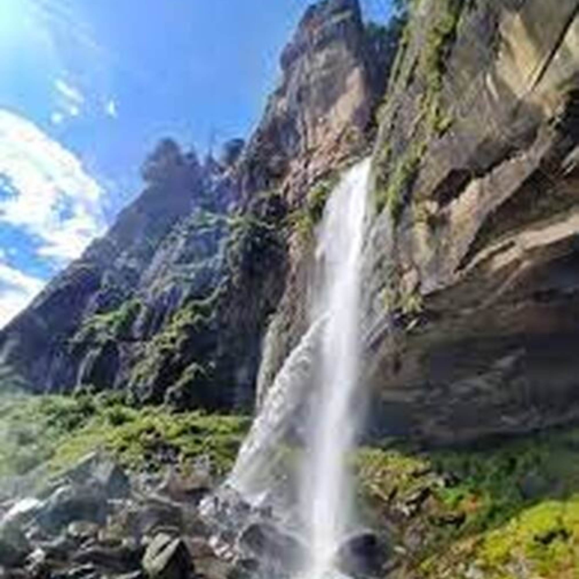 Trekking trail to Jogini Falls through pine forest