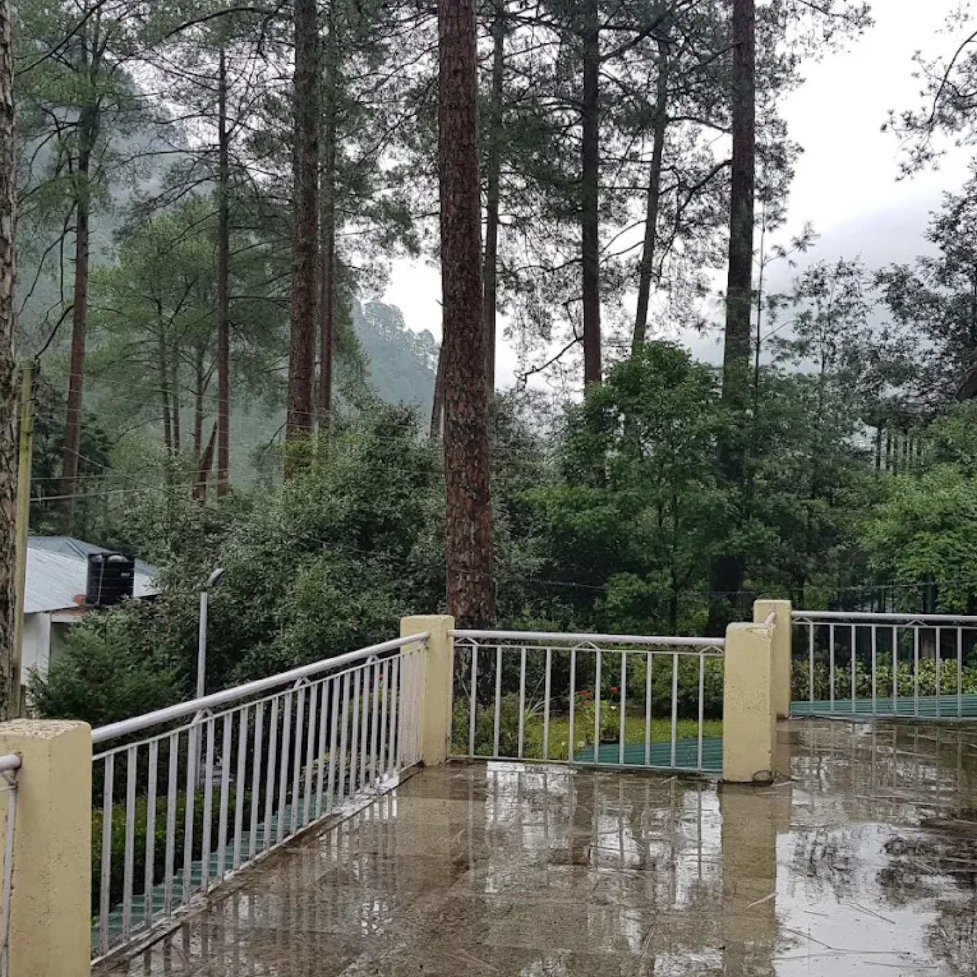 Ropa Forest Complex