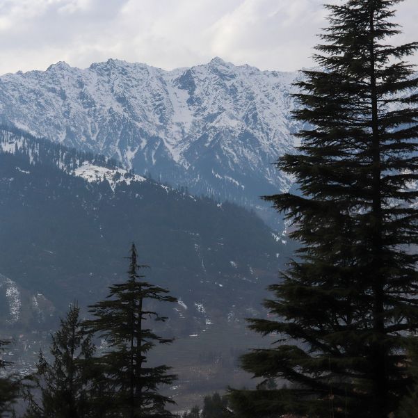 What Most Tourists Get Wrong About Manali Sightseeing.jpg