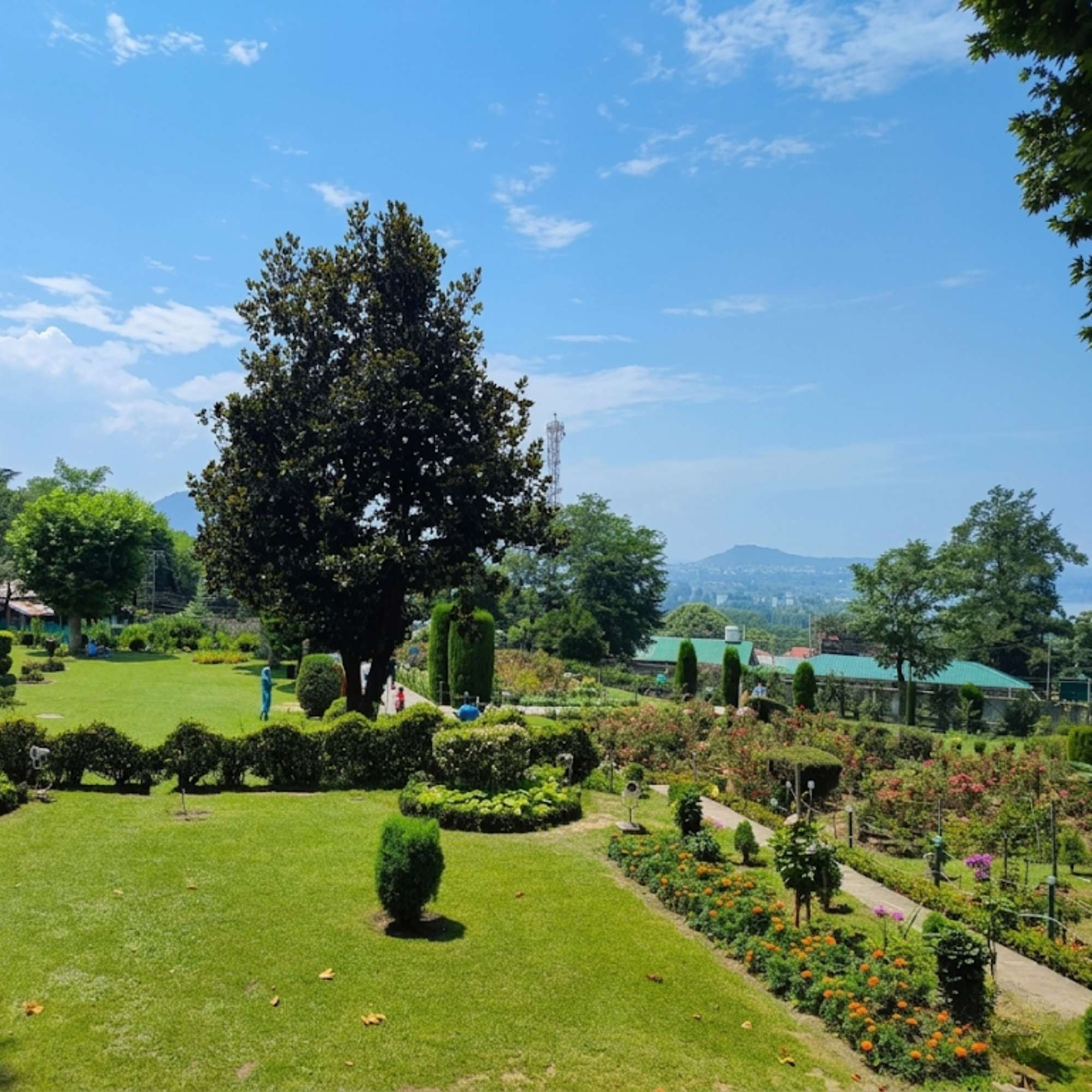 Mughal Gardens Srinagar