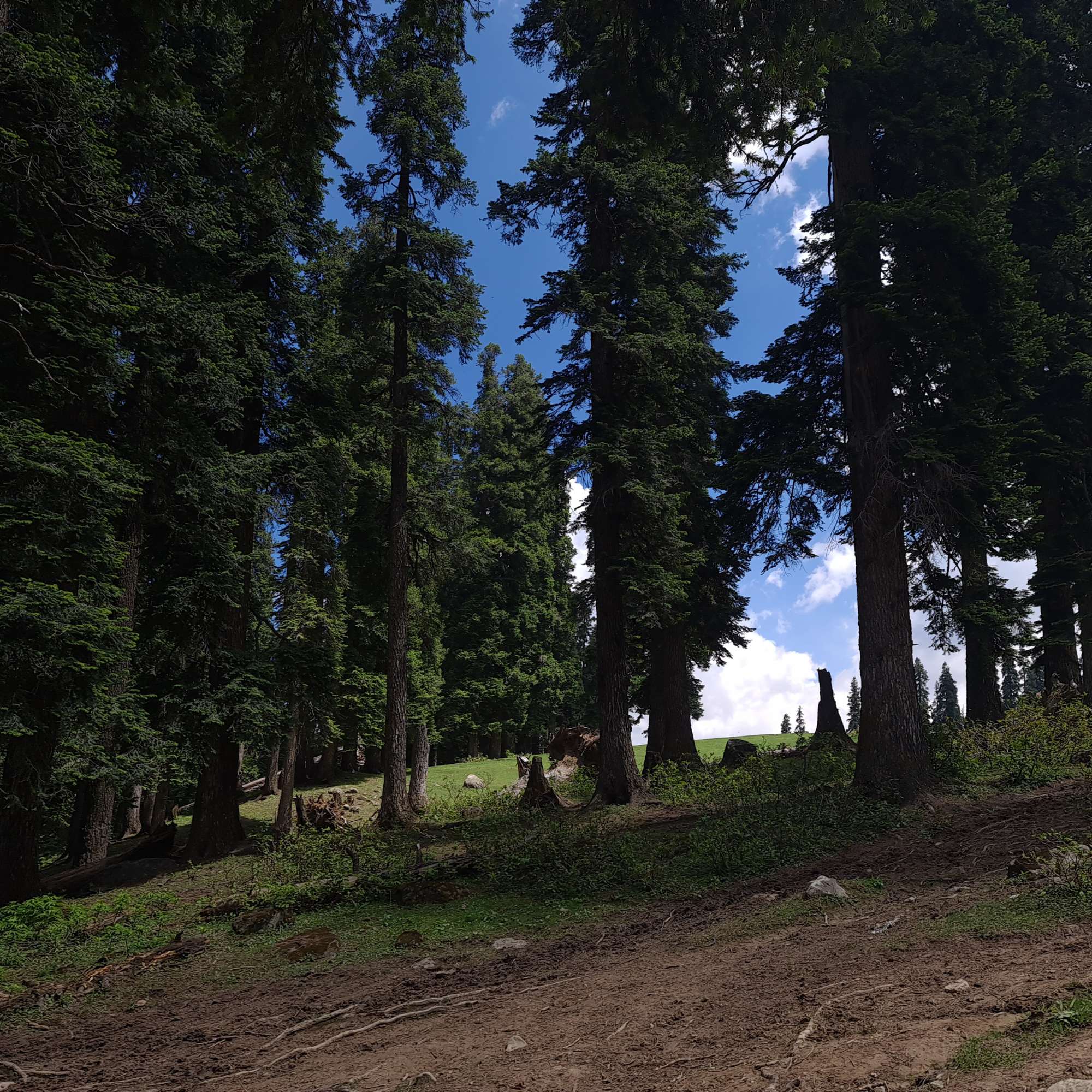 Gulmarg Tourist Attraction in All Seasons.jpg
