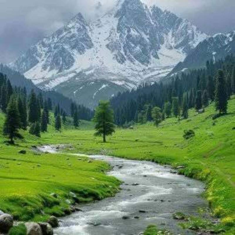 Yusmarg_ forest walks and picnic landscapes.jpg