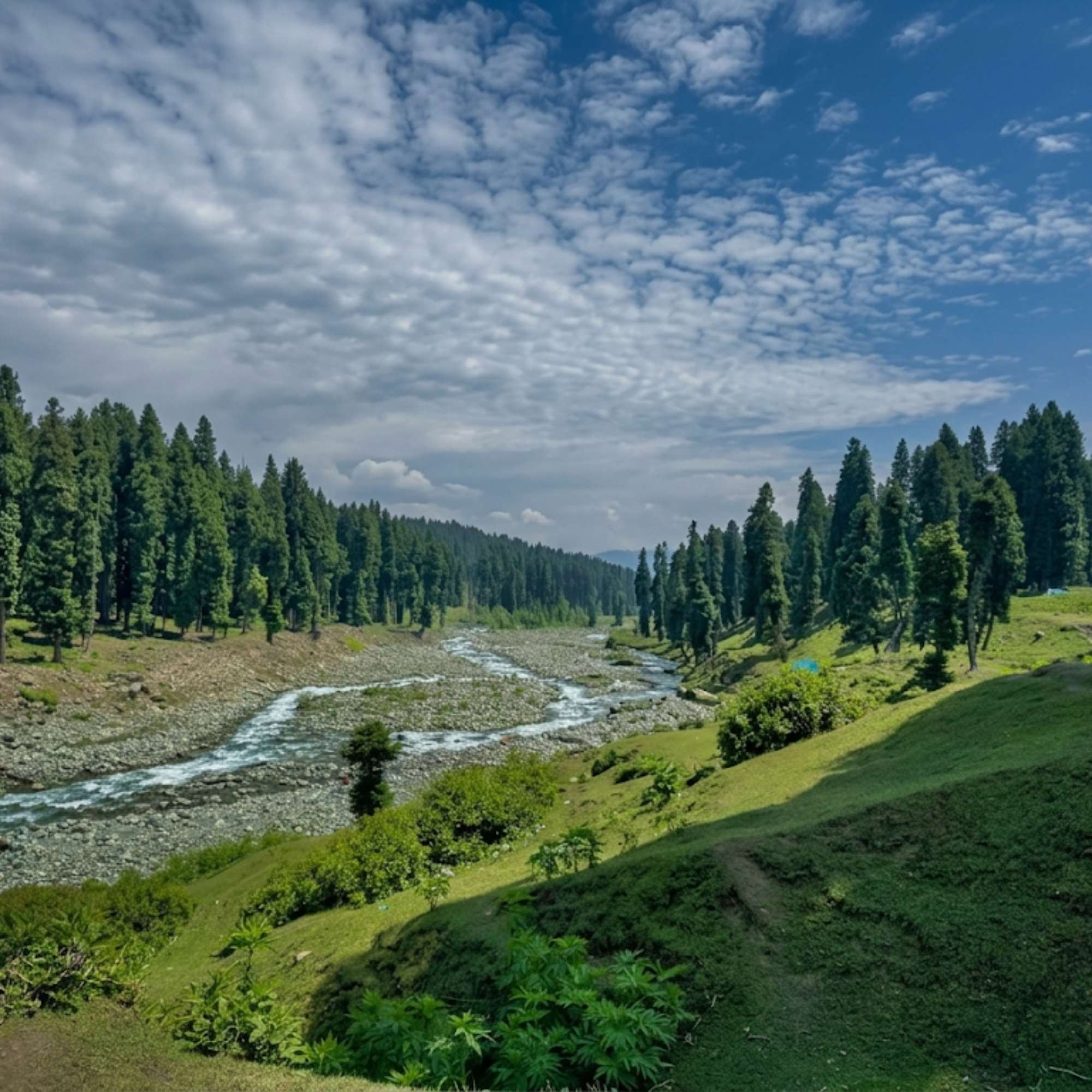 Doodhpathri and Yusmarg