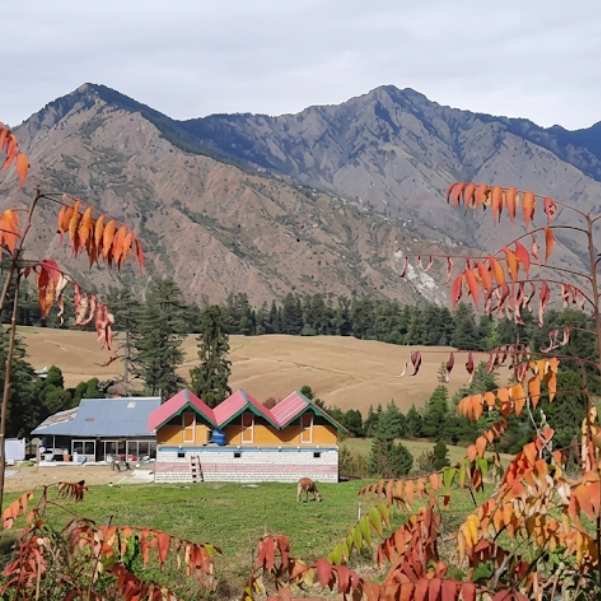 Autumn in Shangarh.jpg