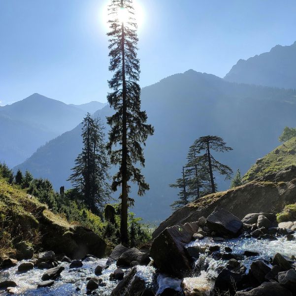 What Should You Skip on a Short Manali Trip.jpg