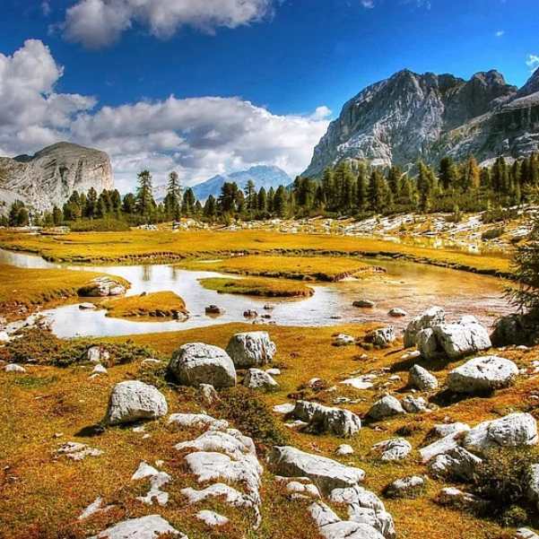 Who Should Visit Dharamkot.jpg