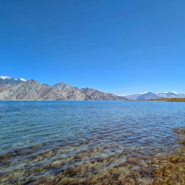 Tso Moriri Lake vs Pangong Lake