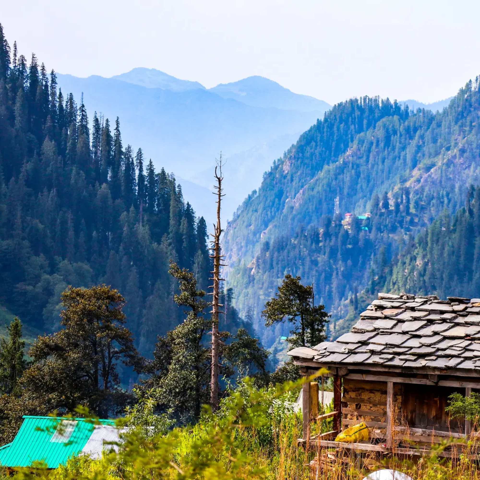 Local Travel Tips from Our Himachal Team
