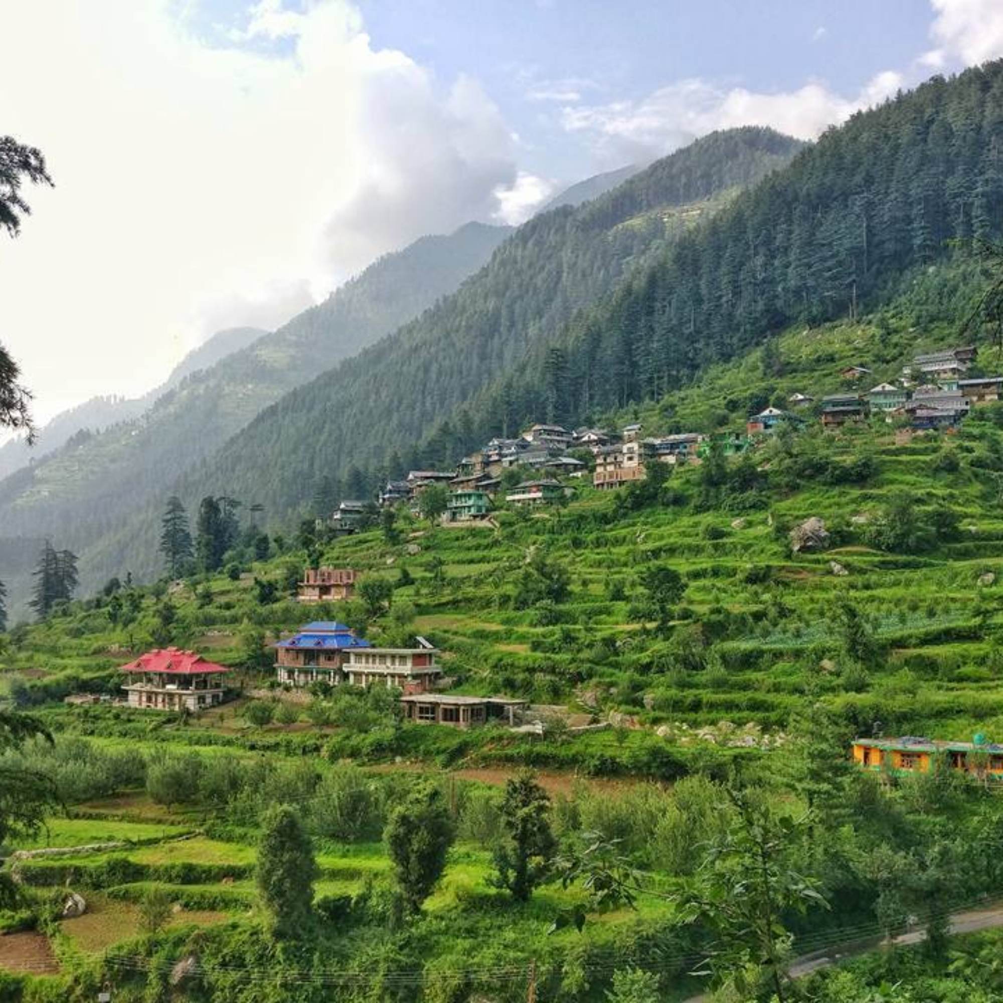 Shoja nature getaway.jpg