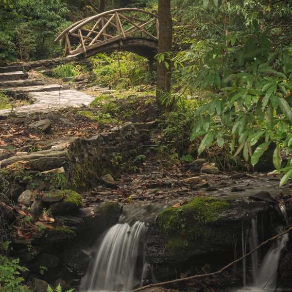 Choose Jibhi If….jpg