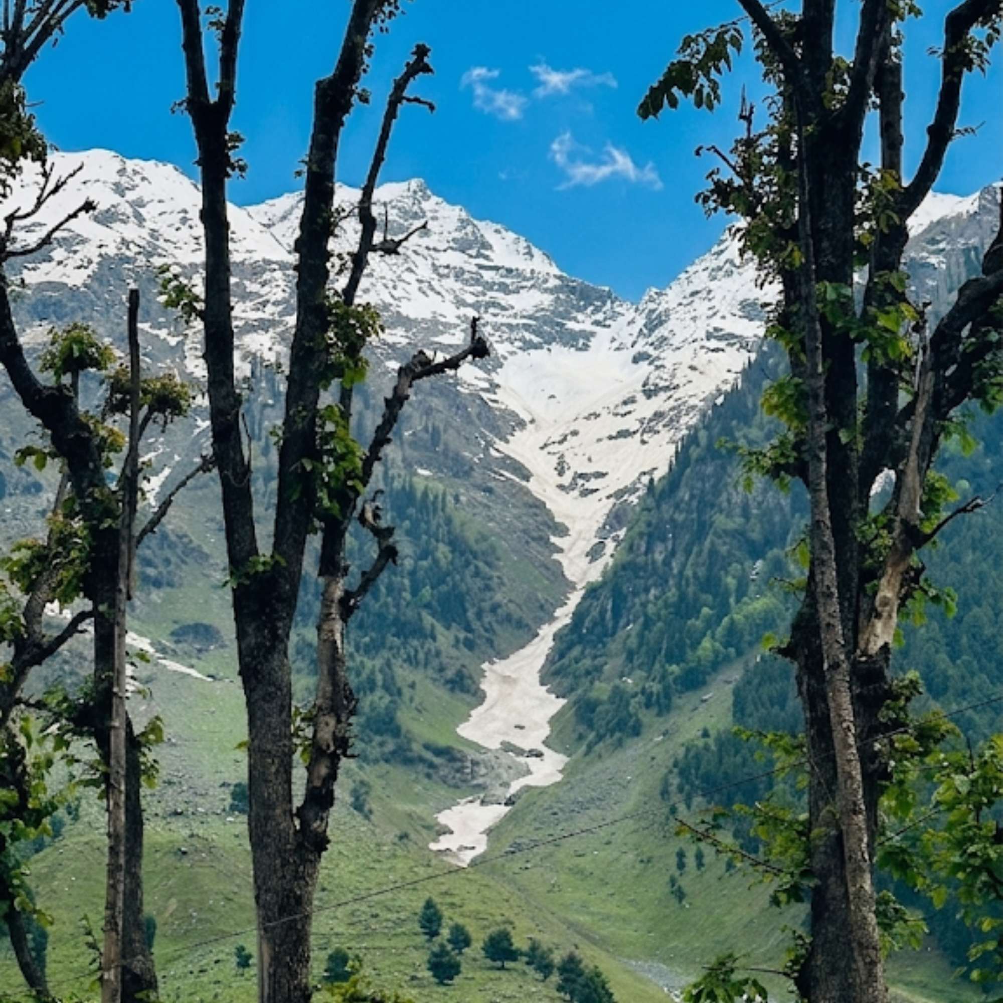 Breathtaking Views of Chandanwari Jammu and Kashmir.jpg