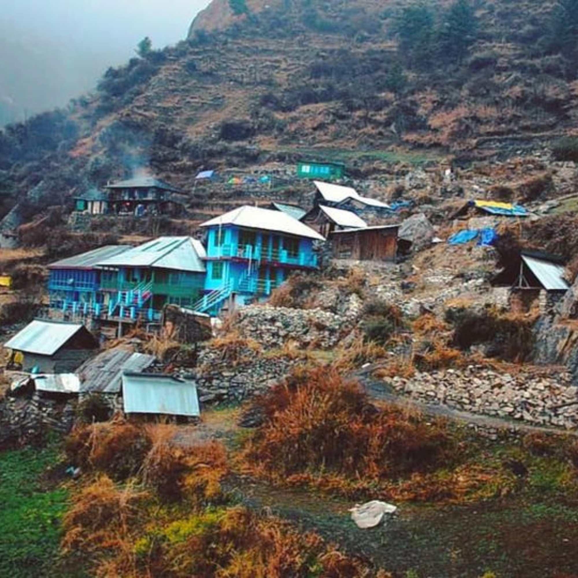 Local Tips from Our Himachal Team