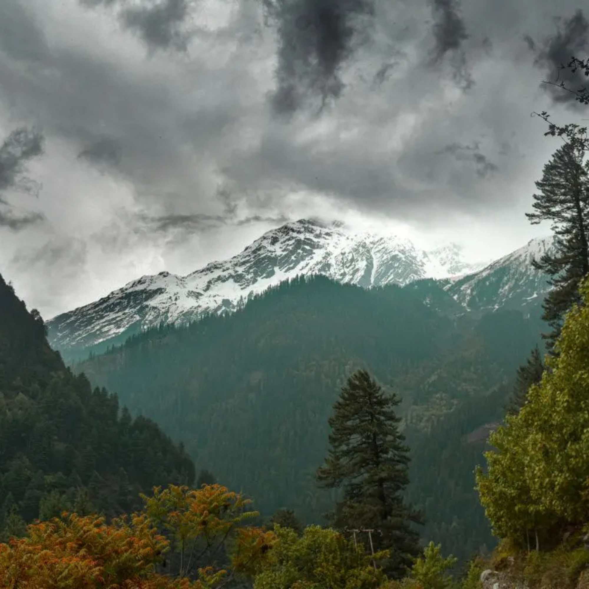 Discover the untouched charm and authentic Himalayan lifestyle of Rasol Village.jpg