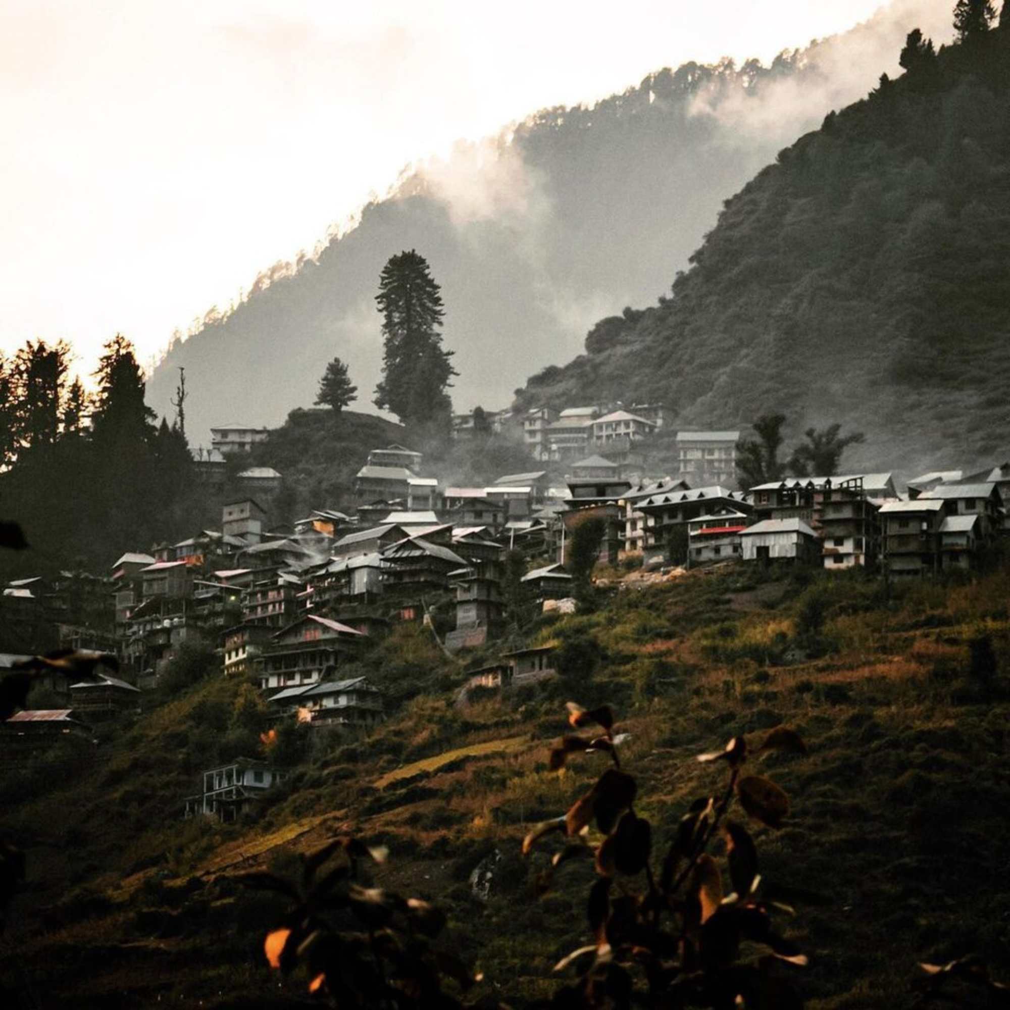 Traditional wooden houses showcase the rich heritage and architecture of Malana Village.jpg
