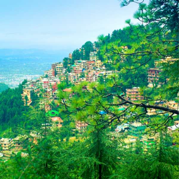A Realistic 2 Day Itinerary for Dharamshala and McLeodganj in September.jpg