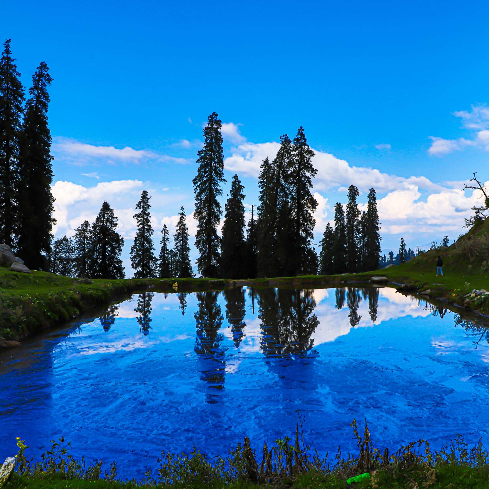 Serene environment of Narkanda in Himachal Pradesh.jpg