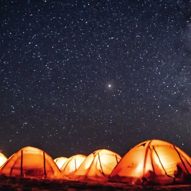 Camp Under the Stars in the Thar Desert