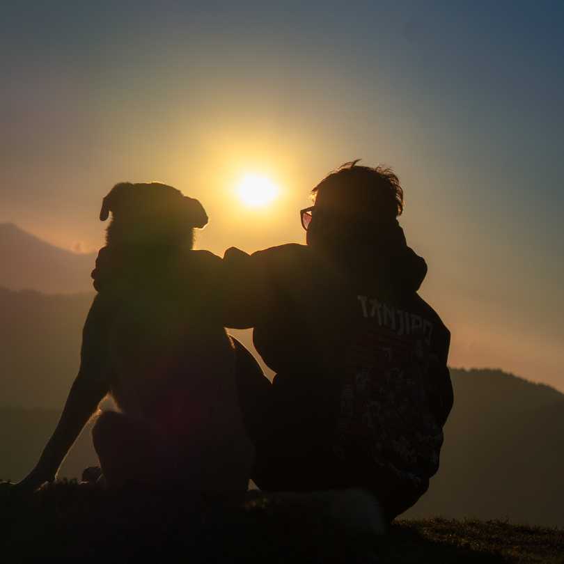 Jibhi Weather In May.jpg