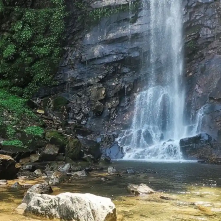 Should You Visit Chadwick Falls in December?