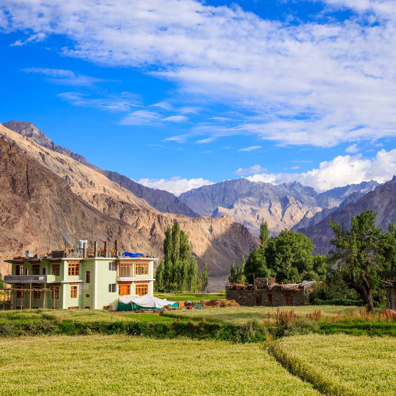 Beautiful landscape around Turtuk Village.jpg