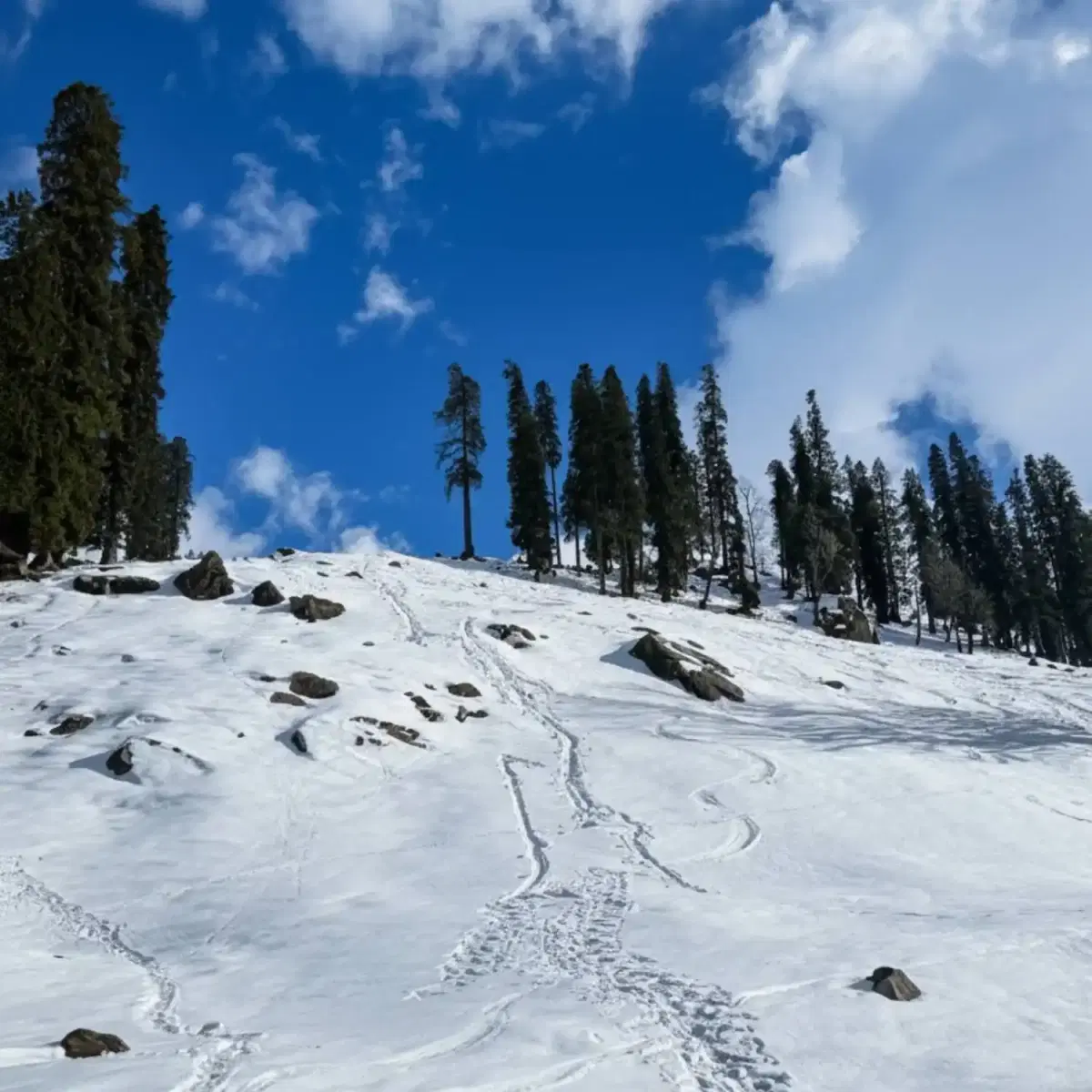 sethan in march, 