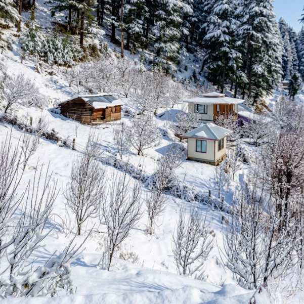 Winter in Sainj Valley.jpg