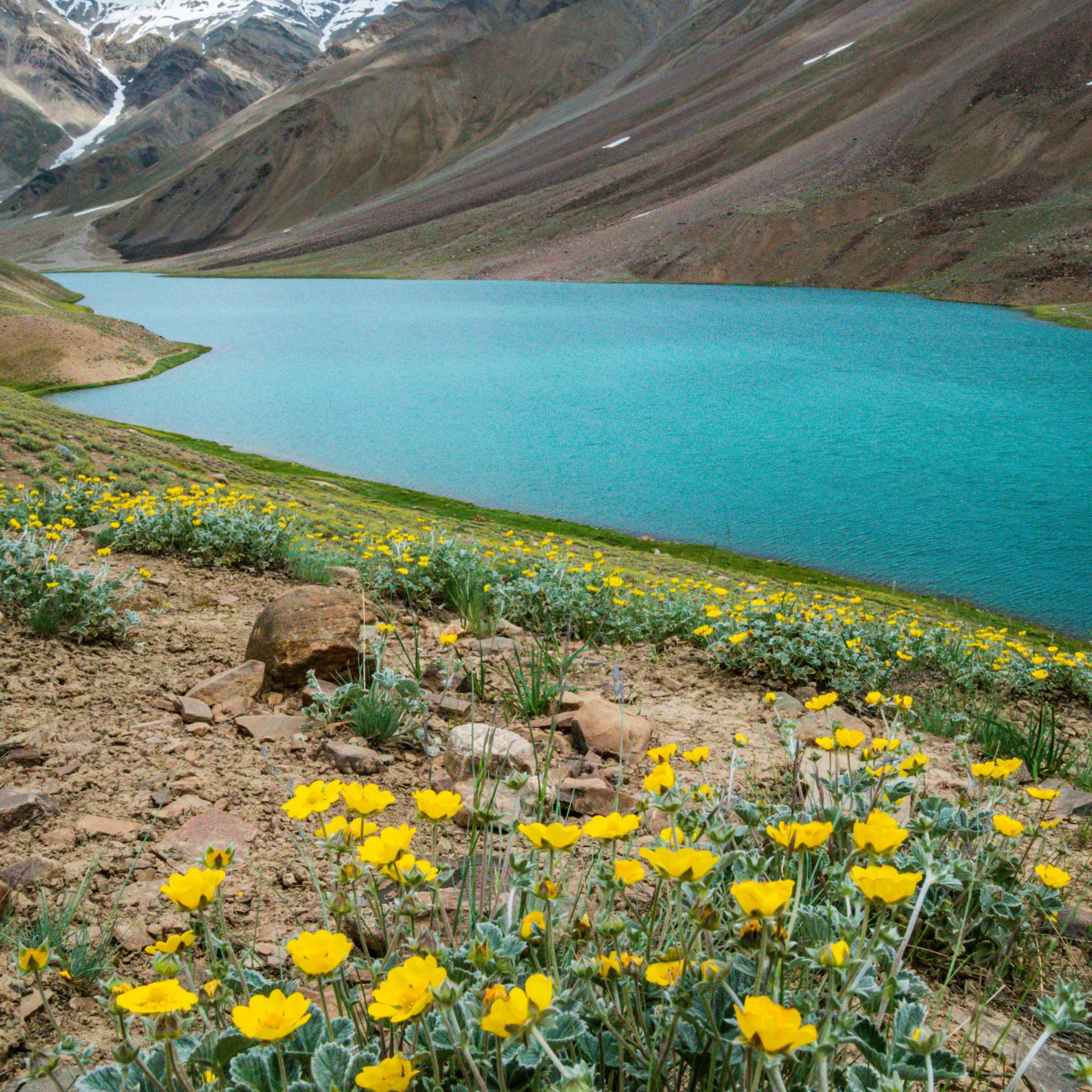 Scenic beauty of Chandratal Lake surrounded by mountains in Spiti Valley.jpg
