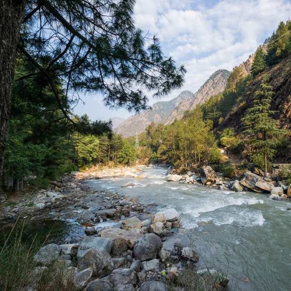 Who Should Pick What_ A Quick Decision Guide.jpg