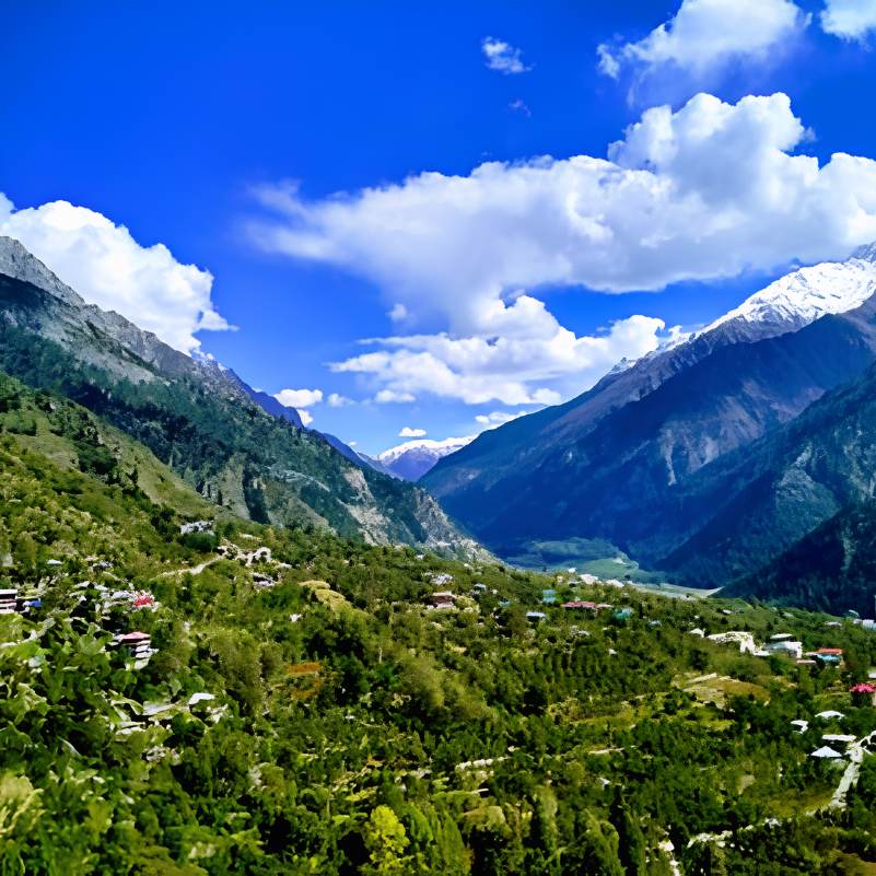 Which Option Fits Solo Travellers, Couples, Families and Groups of Friends?
