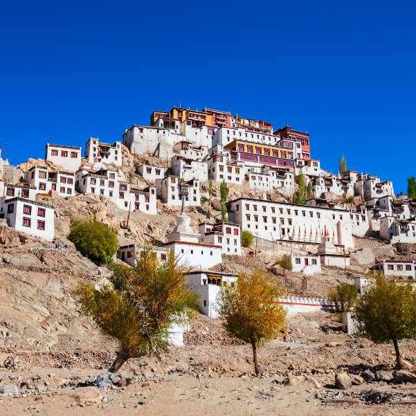 Thiksey and Hemis.jpg