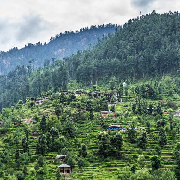 Tirthan Valley.jpg