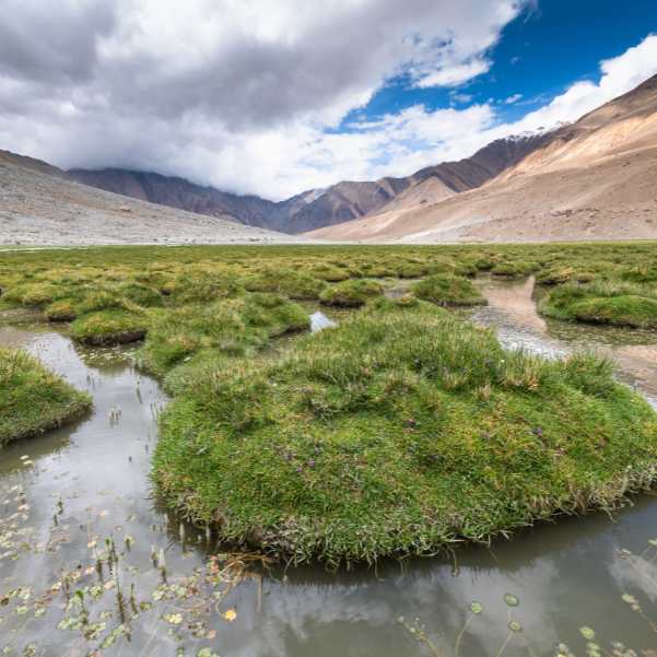 Nubra Valley.jpg